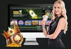 bet6789